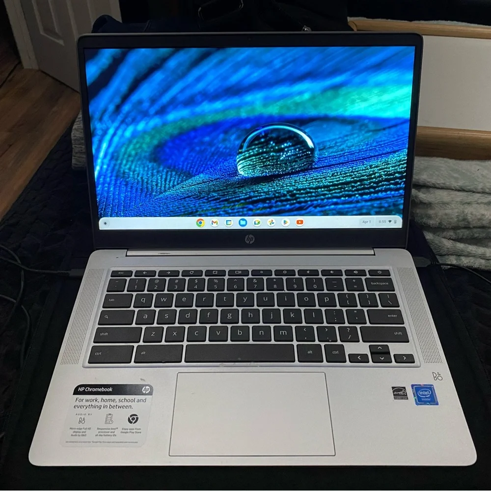 Google ChromebookOS